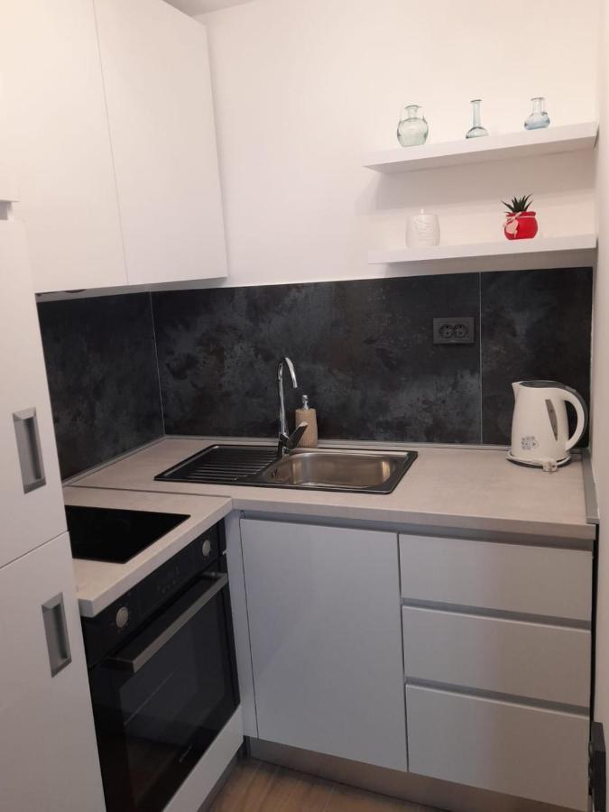 Apartman Sa Lodom 2+2 Apartment พิโรวัซ ภายนอก รูปภาพ